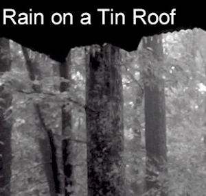 Rain on a Tin Roof - Pure Ambiance