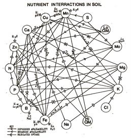Soil Management Information Packet