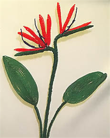 Bird of Paradise Pattern