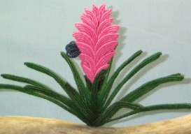 Bromeliad Pattern
