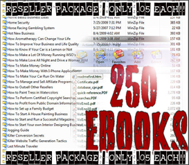 250 EBook Reseller Package