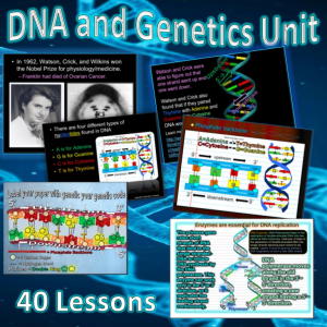 DNA and Genetics Unit