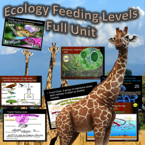 Ecology: Feeding Levels Unit