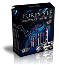 Forex STF Full Package