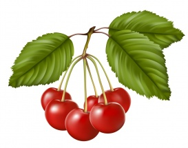 Vectorlib RF (Standard License): Red sweet cherry with leaves