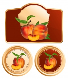 Vectorlib RF (Standard License): Vector. Background for design of packing jam jar with photo-realistic peaches.