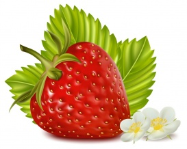 Vectorlib RF (Standard License): Photorealistic vector illustration. Strawberry with leaves and flowers.