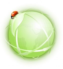 Vectorlib RF (Standard License): Green concept. Globe with green leaf and ladybird.