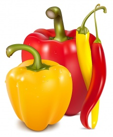 Vectorlib RF (Standard License): Vector illustration of  ripe colored peppers.