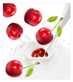 Vectorlib RF (Standard License): Vector illustration. Ripe red cherries falling into the milky splash.