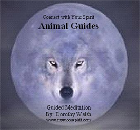 Animal Spirit Guide Meditation
