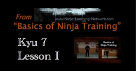 Ninjutsu 7th Kyu Lesson I - PINS  - Basics of Ninja Training