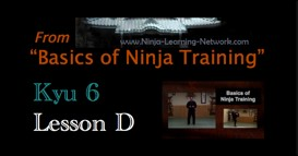 Ninjutsu 6th Kyu Lesson  - D - NAGE WAZA - Basics of Ninja Training