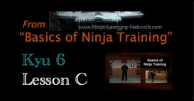 Ninjutsu 6th Kyu Lesson C - GYAKU WAZA - Basics of Ninja Training