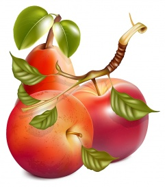 Vectorlib RF (Standard License): Vector. Ripe red apples and pear with green leaves.