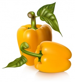 Vectorlib RF (Standard License): Vector illustration of yellow sweet peppers with leaves.