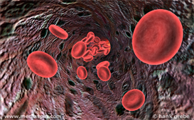 Blood 2011