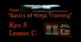 Ninjutsu / Bujinkan - 5th Kyu - Lesson C - NAGE WAZA - "Basics of Ninja Training" Video Black Belt Course