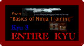 Basics of Ninja Training - 3rd Kyu -LARGE MOVIES VERSION- Bujinkan / Ninjutsu