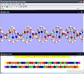 DNA-ACE - Meditation & Release
