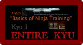 Basics of Ninja Training - 1st Kyu - LARGE MOVIES VERSION -Bujinkan / Ninjutsu