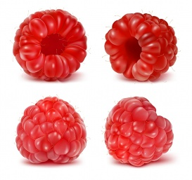 Vectorlib RF (Standard License): Vector illustration of ripe raspberry.