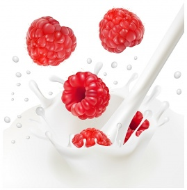 Vectorlib RF (Standard License): Vector. Ripe red raspberries falling into the milky splash