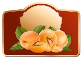 Vectorlib RF (Standard License): Vector. Design of packing jam jar with photo-realistic vector apricots.