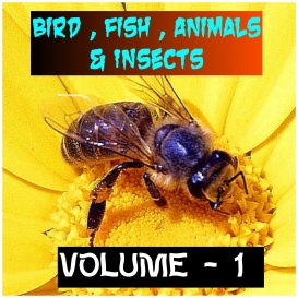 ANIMALS BIRDS AND FISHES - Volume - 1