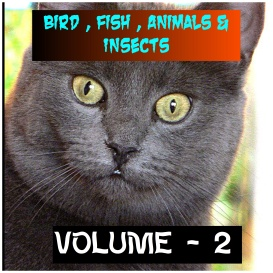 ANIMALS BIRDS AND FISHES - Volume - 2