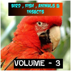 ANIMALS BIRDS AND FISHES - Volume - 3
