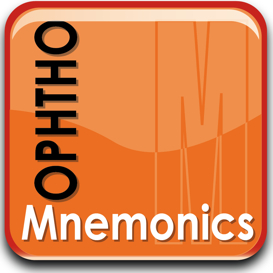Mnemonics in Ophthalmology MP3 Audio