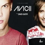 David Guetta Ft. Flo Rida vs Avicii - Where Dem Levels At (DJ's From Mars) HD
