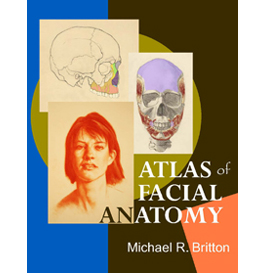 Atlas of Facial Anatomy