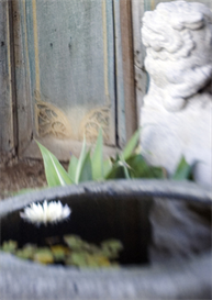 Silent Retreat 11.11.11 PDF