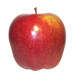 300 printable Food flashcards for teaching kids with Autism