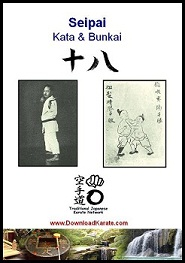Seipai Kata & Bunkai Video