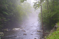 Power of Fog Lesson