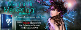 Magnetic Marketing Workshops - Series 1, Volume 1
