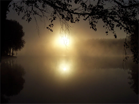 Stock photo - Thru the Fog