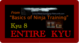 KYU 8 - MP4 - Basics of Ninja Training - Ninjutsu Lessons Lessons (Bujinkan)