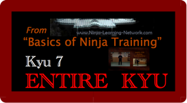 KYU 7 - MP4 - Basics of Ninja Training - Ninjutsu Lessons Lessons (Bujinkan)