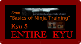 KYU 5 - MP4 - Basics of Ninja Training - Ninjutsu Lessons Lessons (Bujinkan)
