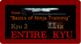 KYU 2 - MP4 - Basics of Ninja Training - Ninjutsu Lessons Lessons (Bujinkan)