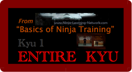 KYU 1 - MP4 - Basics of Ninja Training - Ninjutsu Lessons Lessons (Bujinkan)