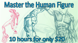 Master The Human Figure