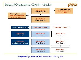 PMO Project Roles