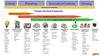 PLCF Flow Chart