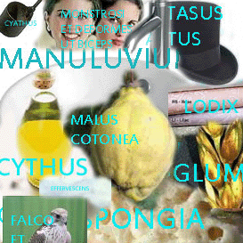 Imaginum Vocabularium Latinum - 2012 edition - 3300 labelled images for Latin vocabulary building