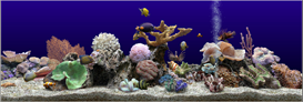 Marine Aquarium V3.2 Screen Saver